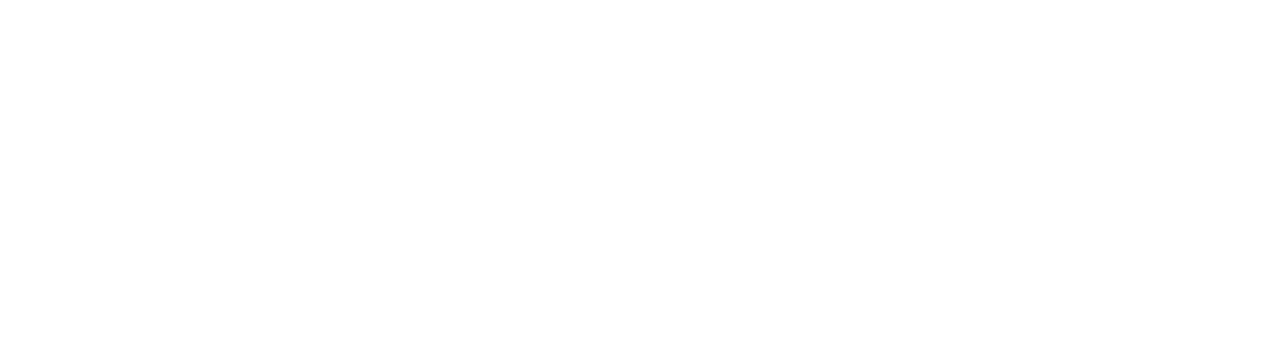 100% Logo