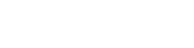 Kiwivelo Logo